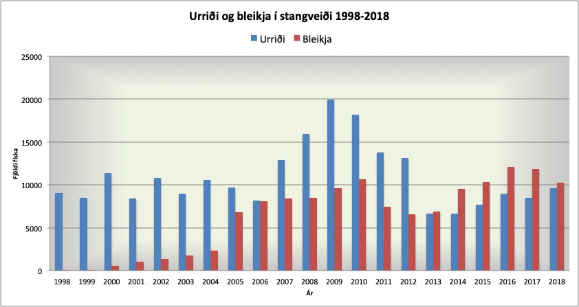 Samanburður á fjölda urriða og bleikju í stangveiðinni 1998-2018 . Tekið saman af Erni Óskarssyni 